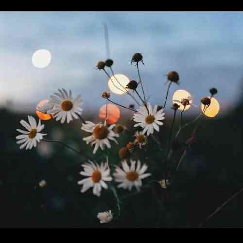 مرتضی جعفرزاده سسماری داد میزنه طلا فروش سکوت میکنه